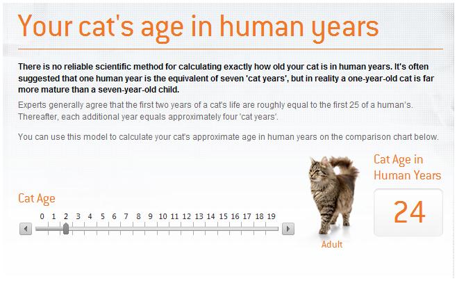 how old is 17 years in cat years
