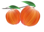 Peach-temptation-2000-CRsite